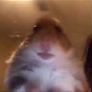 Meet your Posher, Nicolas